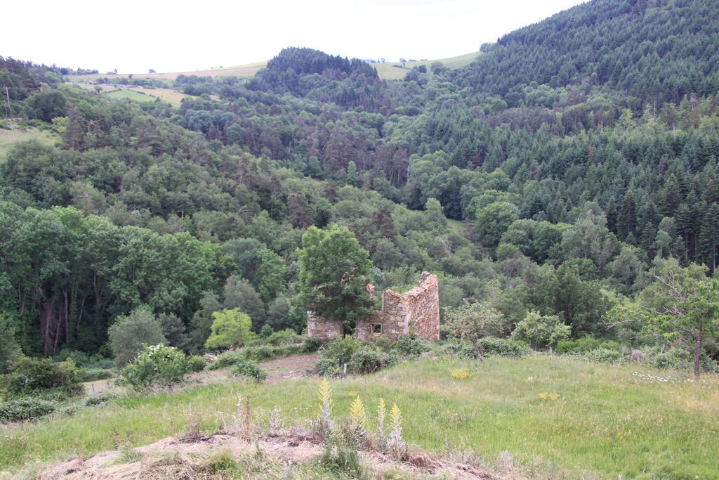 Gite Chez Coste Gilles Saint-Privat-du-Dragon Camera foto