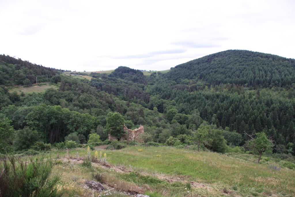 Gite Chez Coste Gilles Saint-Privat-du-Dragon Esterno foto